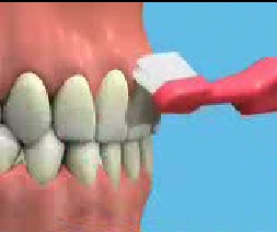 Cách chải răng 3D